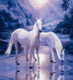 /album/fenykepgaleria/csillogo-lovas-kep-10-917078-66229-gif1/