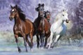 /album/fenykepgaleria/vad-lovak-57339-813421-n-jpg/